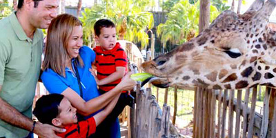 zoo-bd6061e262689e84deda448b8366ed9e97b6272dcc9dbfeec4260e6fb9684a24